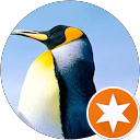 claudio silveira profile picture